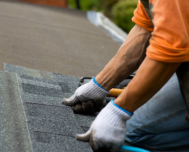 Best Roof Gutter Cleaning  in Lorain, OH