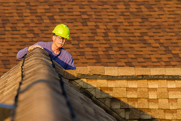 Best Roof Maintenance Services  in Lorain, OH